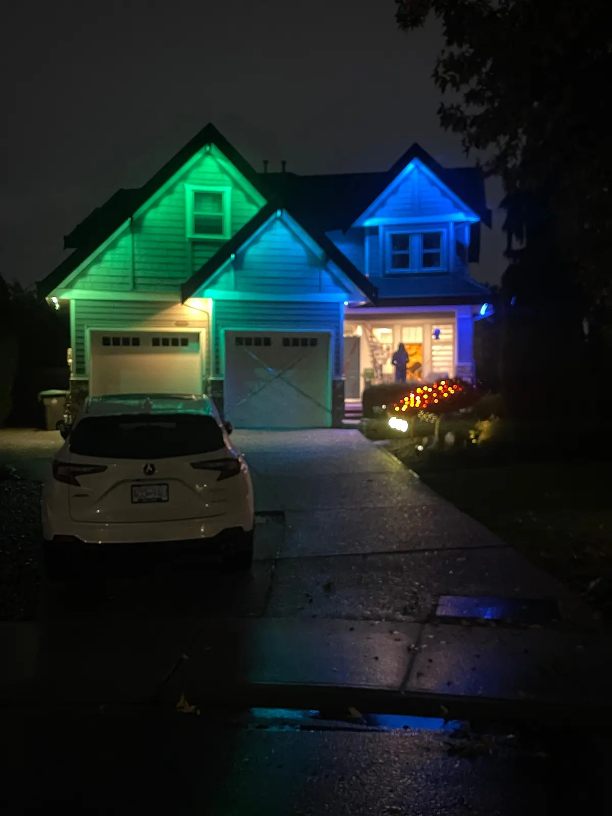 Christmas Light Installation