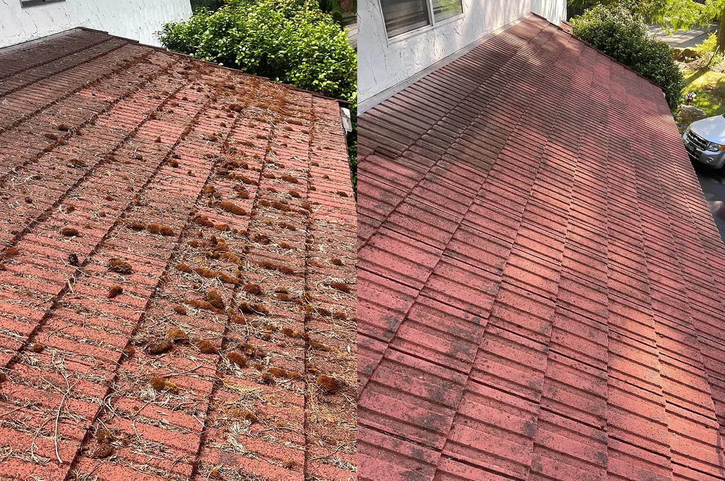 Roof & Gutter Cleaning